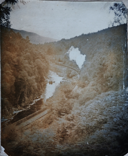 Glen Spein
