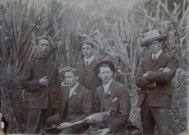 Five Jenkins Brothers