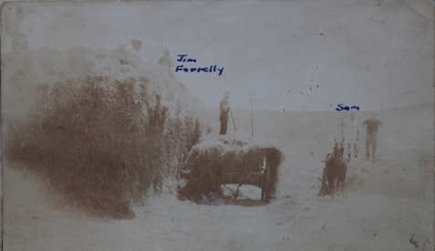 Lestock Jenkins Farm