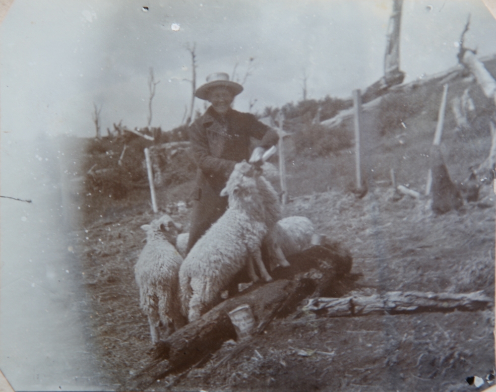 Mercy Jenkins feeding lambs