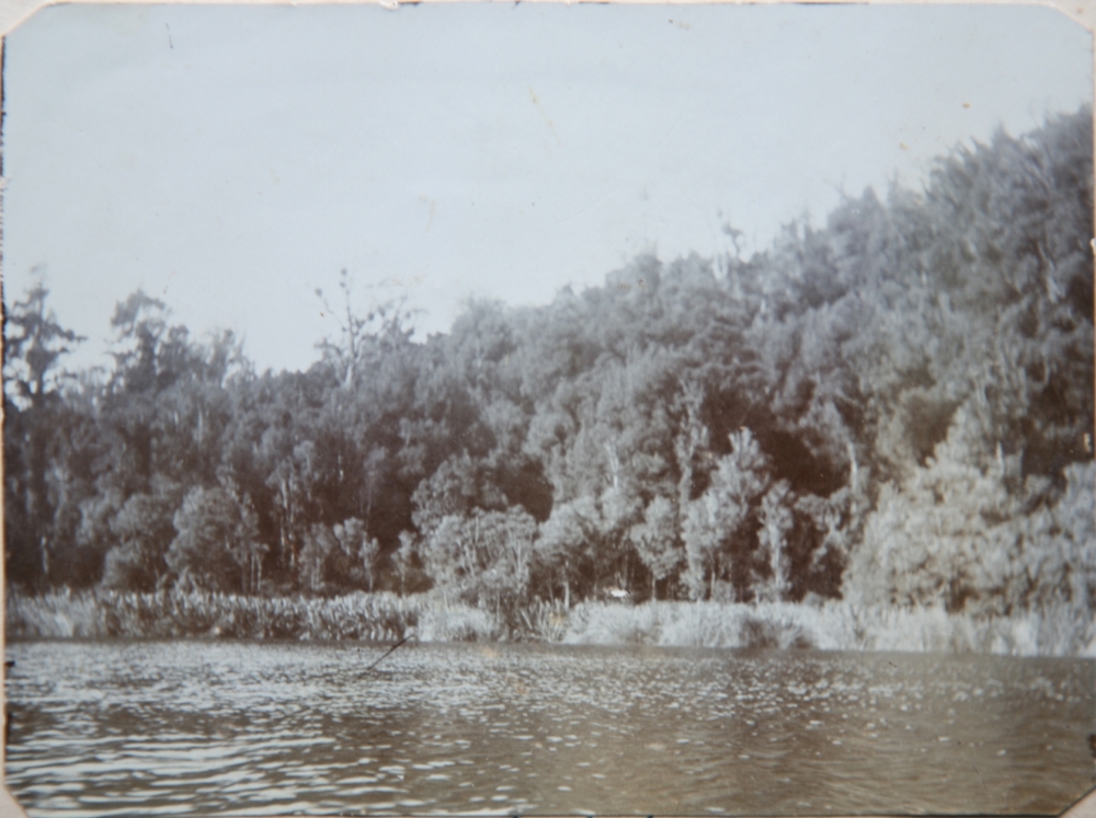 Lake Rotokare