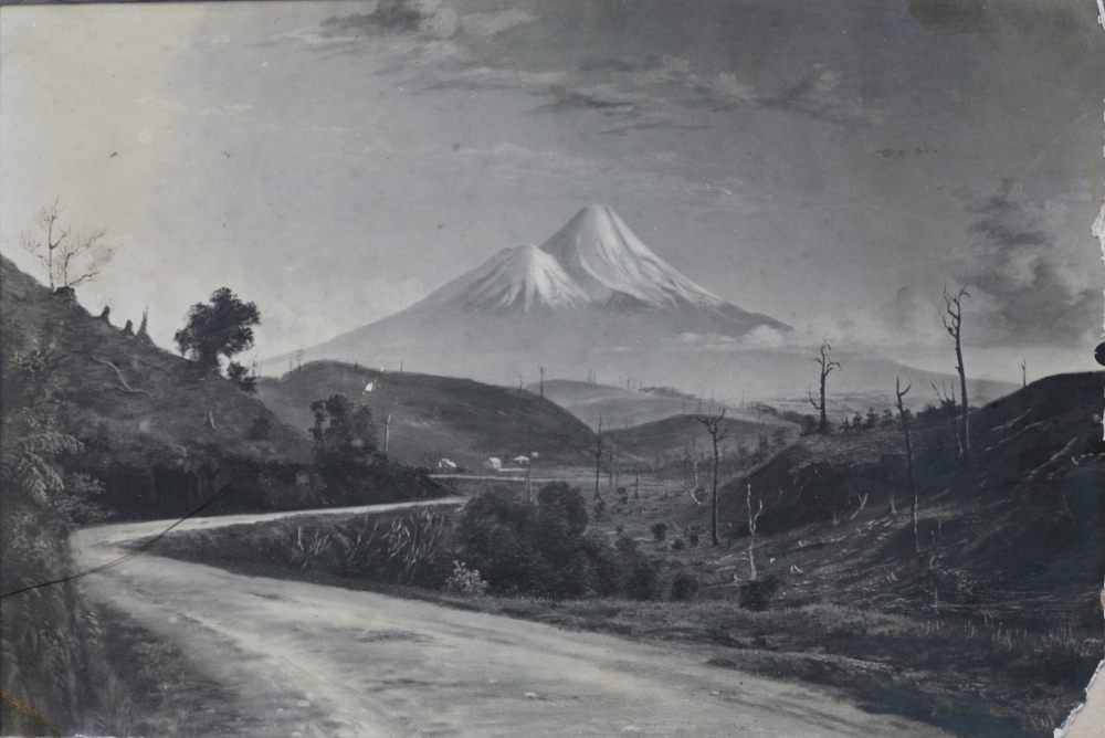 Mount Egmont from Mangamingi Ridge