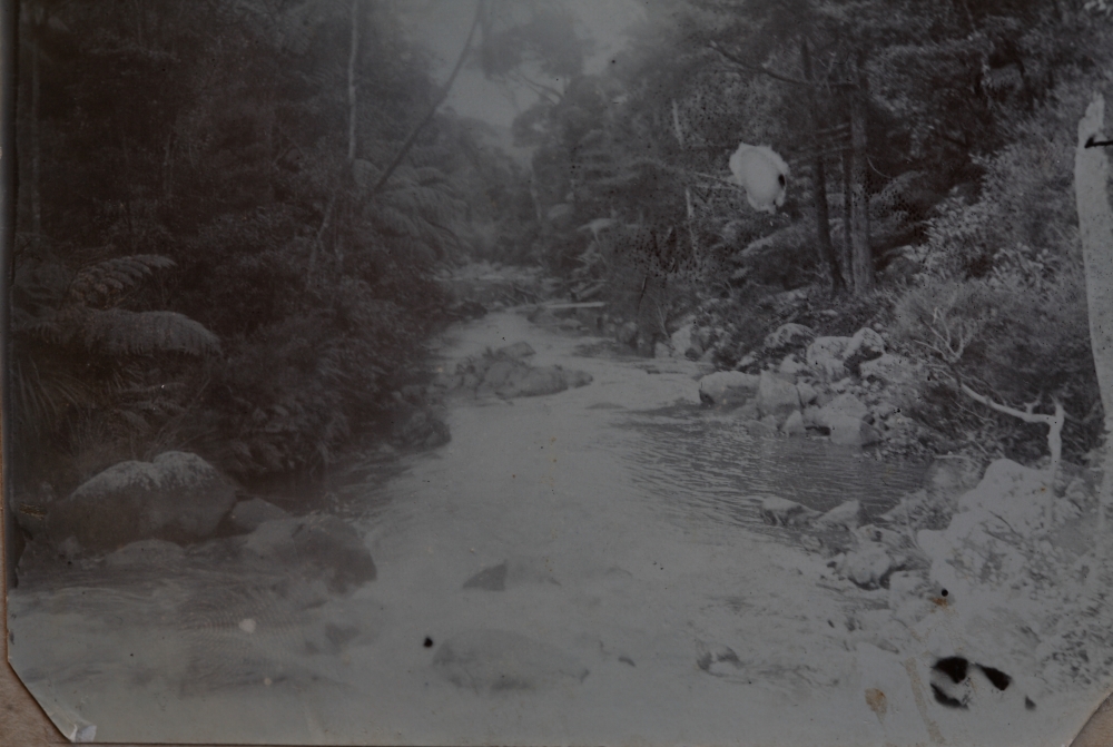 River Scene