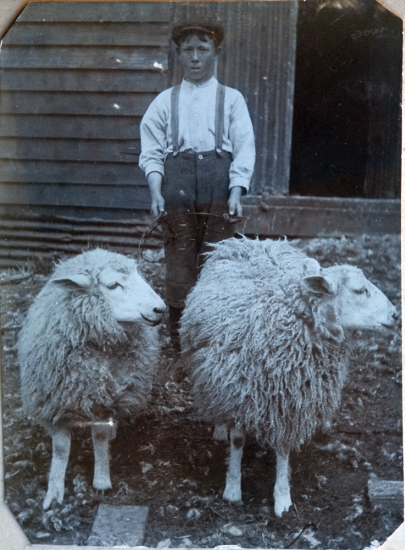Harry Wright